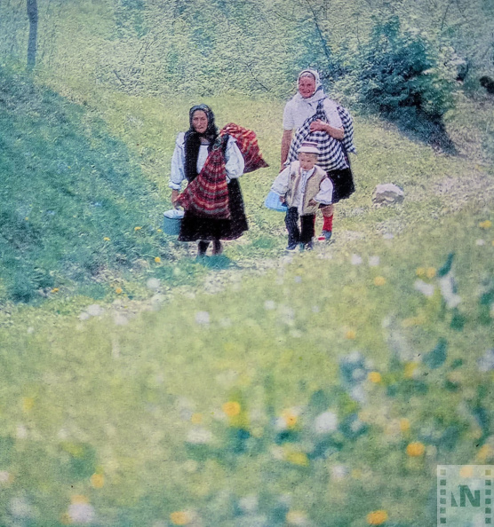 A napsütésben feledve marad a békés falu;  zöld és aranyszínű szőnyegek ragyognak...